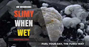 Mushrooms: Slimy or Not?