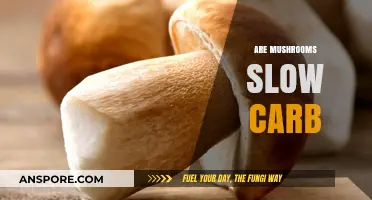 Mushrooms: Slow Carb Superfood?