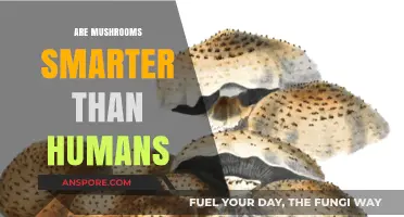 Mushrooms: Smarter Than Humans?
