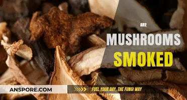 Explore the Magical World of Smoking Mushrooms