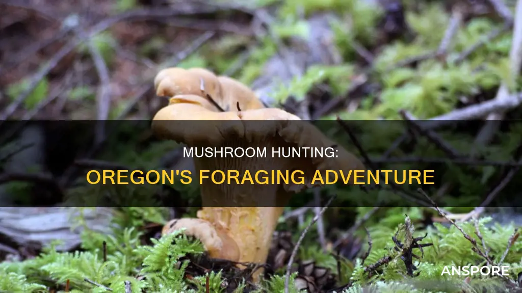 are mushrooms sold in oregon