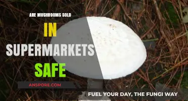 Mushrooms in Supermarkets: Are They Safe?