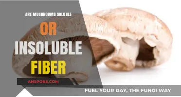 Mushrooms: A Rich Source of Soluble Fiber