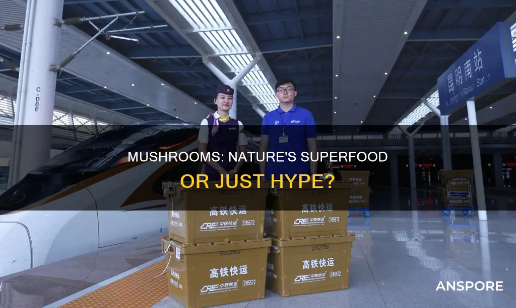 are mushrooms speed
