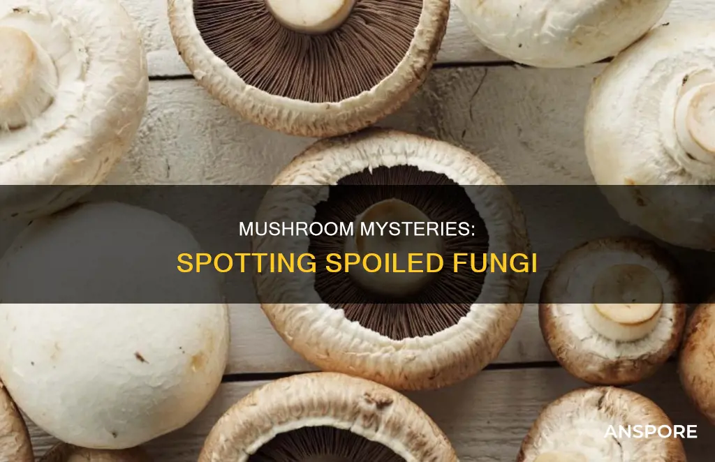 are mushrooms spoiled