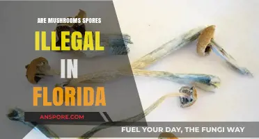 Mushroom Spores: Florida's Legal Conundrum