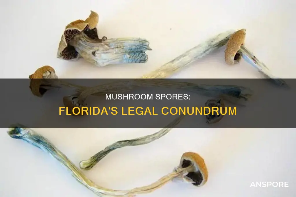 are mushrooms spores illegal in florida
