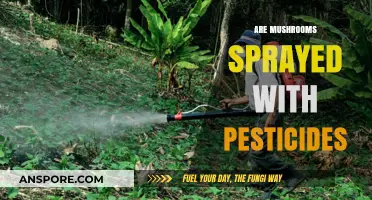 Mushroom Farming: Do Pesticides Play a Part?