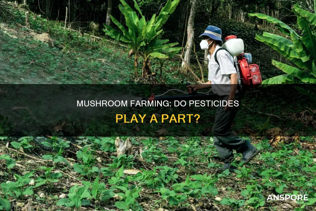 are mushrooms sprayed with pesticides