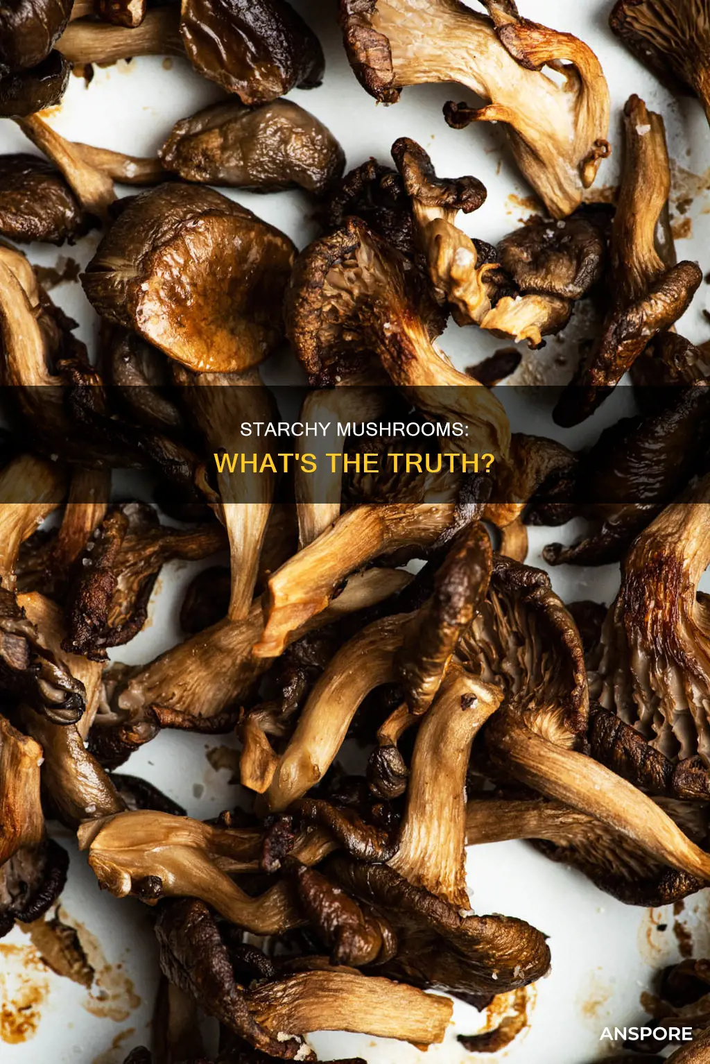 are mushrooms starchy