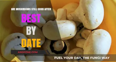 Can You Still Eat Mushrooms Past Their Best By Date?