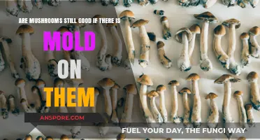 Moldy Mushrooms: Are They Safe to Eat or Toss?