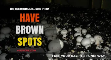 Brown Spots on Mushrooms: Are They Still Safe to Eat?