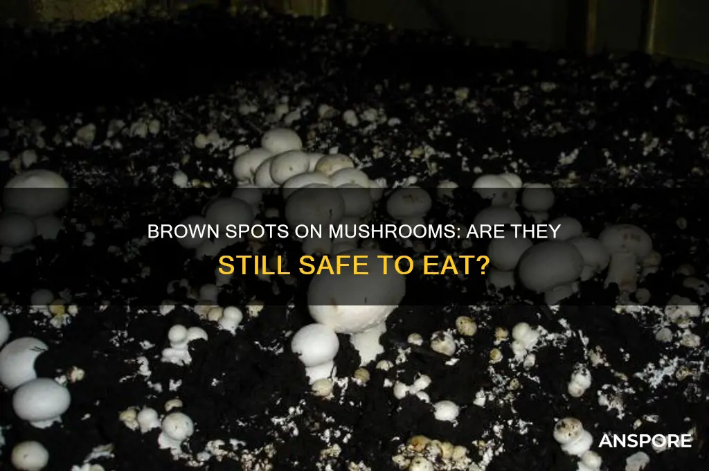 are mushrooms still good if they have brown spots