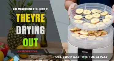Drying Mushrooms: Are They Still Edible and Safe to Eat?
