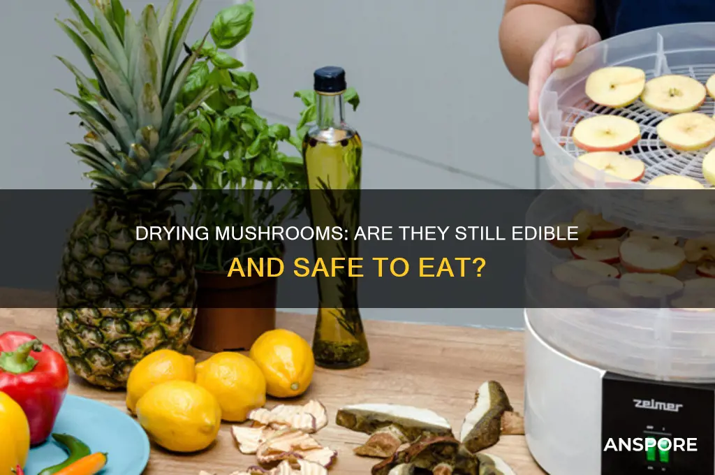 are mushrooms still good if theyre drying out