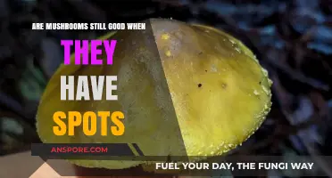 Spotty Mushrooms: Are They Still Safe and Edible to Eat?