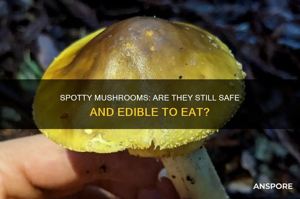 are mushrooms still good when they have spots