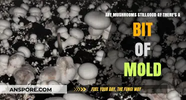 Mushrooms and Mold: Can You Still Eat Them?