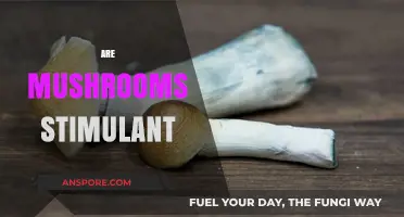 Mushrooms: Stimulant or Relaxant?