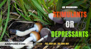 Mushrooms: Stimulants or Depressants?