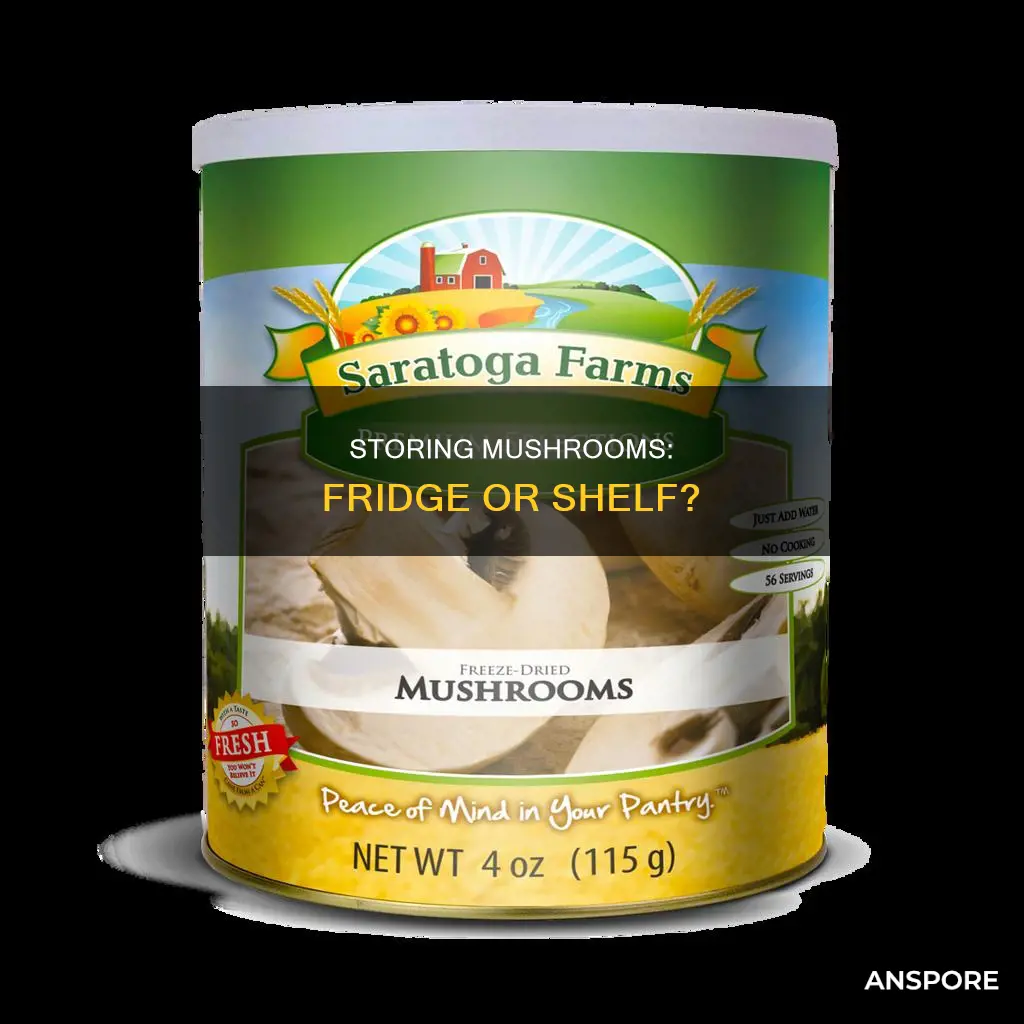 are mushrooms stored in fridge