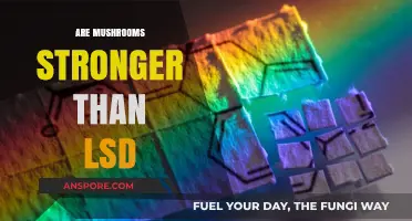 Psychedelics: Comparing the Potency of Mushrooms and LSD