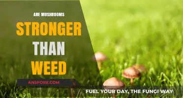 Mushrooms vs Weed: Which is Stronger?