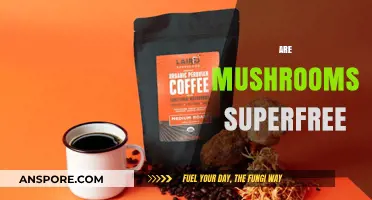Mushrooms: Superfood or Super-Free?