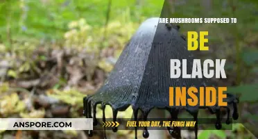 Mushroom Mystery: Black Inside, Safe to Eat?