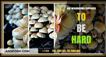 Mushroom Texture: Why Are They Hard?