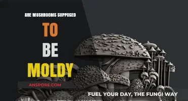 Moldy Mushrooms: What's the Deal?
