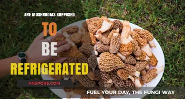 The Best Way to Store Mushrooms: Fridge or Shelf?