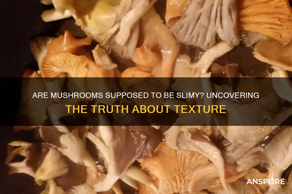 are mushrooms supposed to be slimy