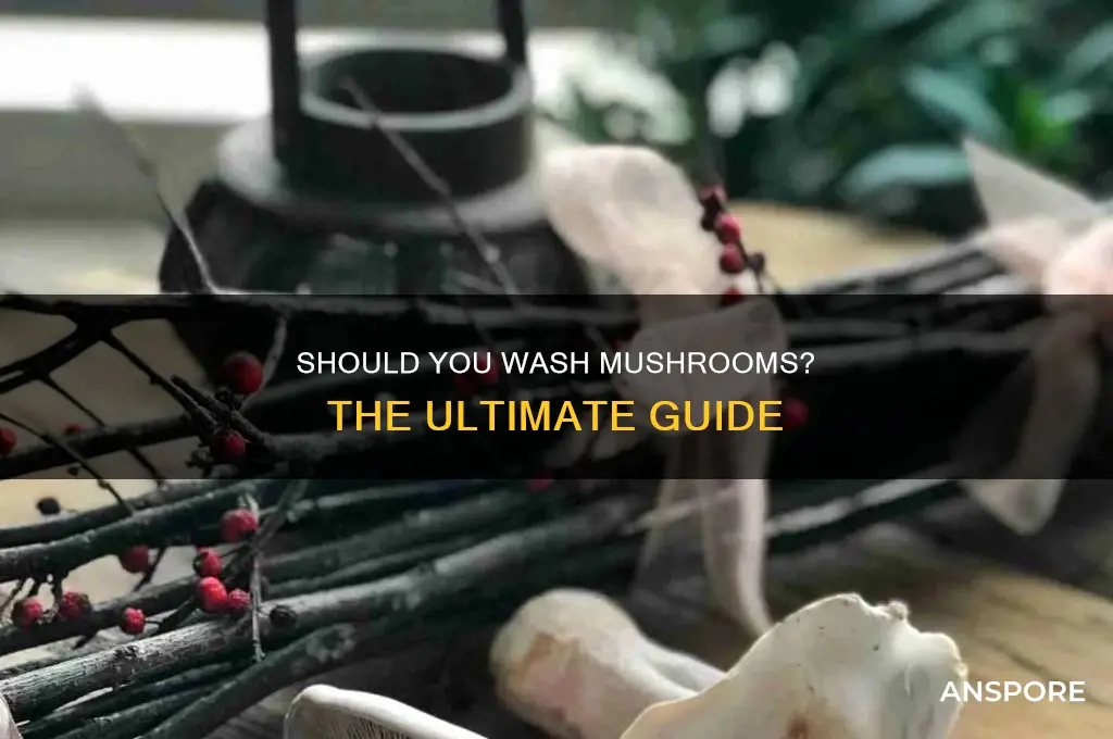 are mushrooms supposed to be washed