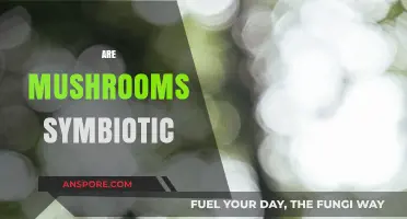 Mushrooms: Nature's Symbiotic Superheroes