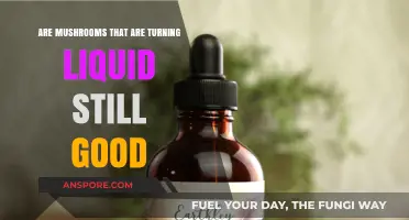 Liquid Mushrooms: Are They Still Safe to Eat or Toss?