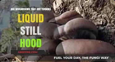 Mushrooms Turning Liquid: Still Viable or Toss Out?