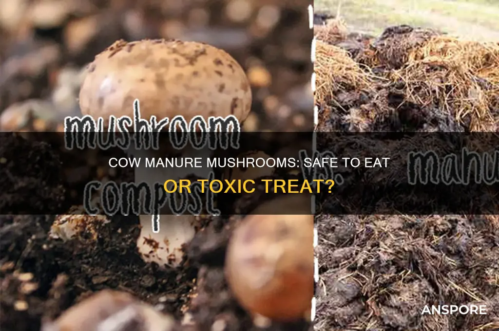 are mushrooms that grow in cow manure safe to eat