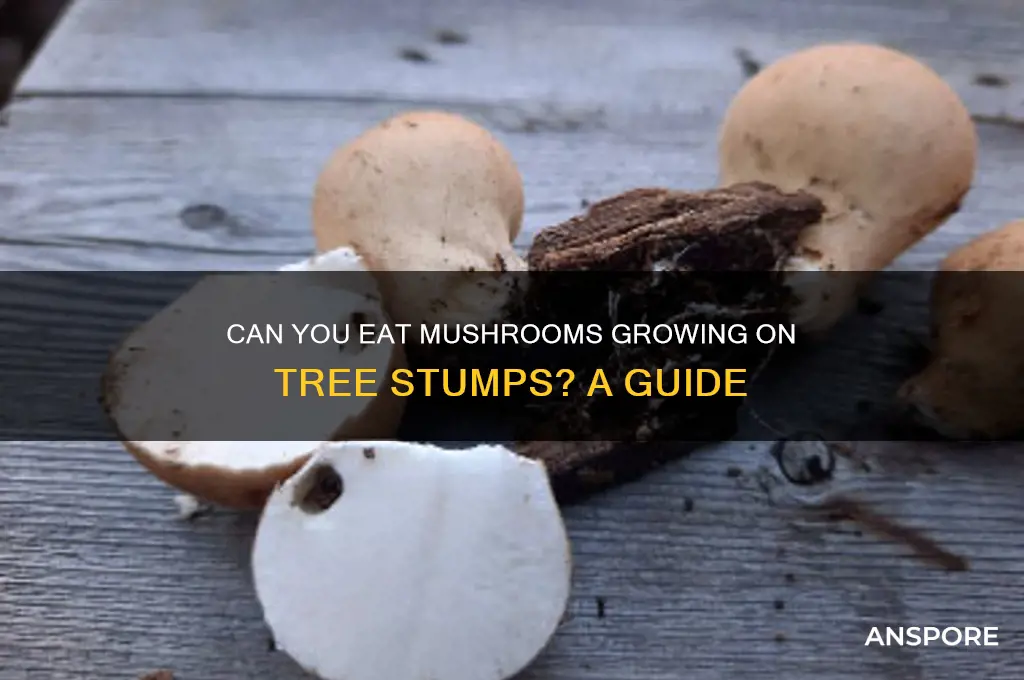 are mushrooms that grow on tree stumps edible