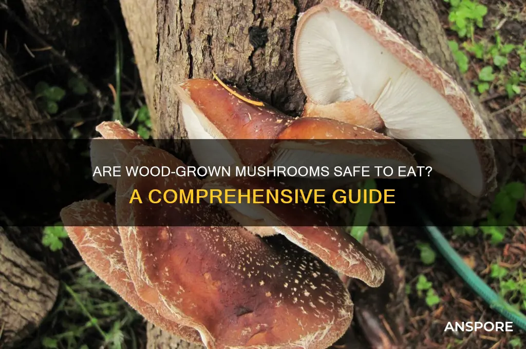 are mushrooms that grow on wood safe
