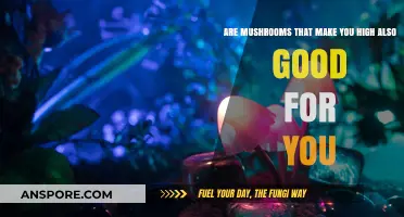 High on Health? Exploring the Benefits of Psychedelic Mushrooms