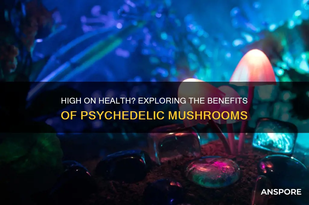 are mushrooms that make you high also good for you