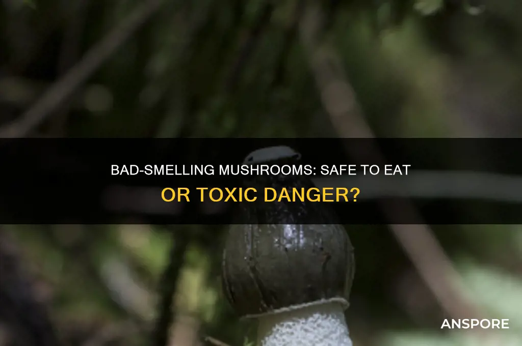 are mushrooms that smell bad still safe to eat