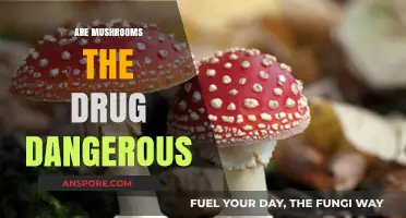 Mushrooms: A Dangerous Drug or Not?