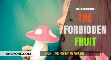 Mushrooms: The Forbidden Fruit of the Ancient World?