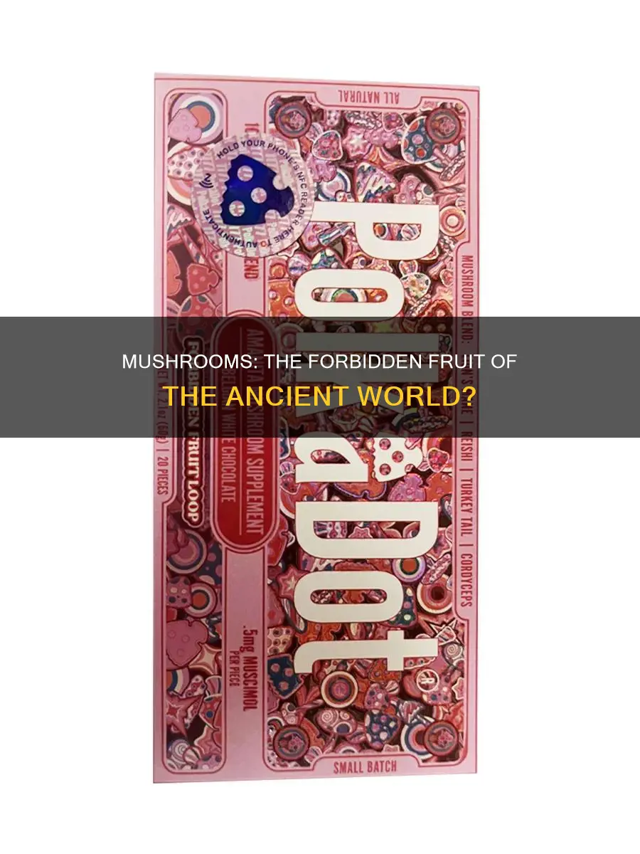 are mushrooms the forbidden fruit