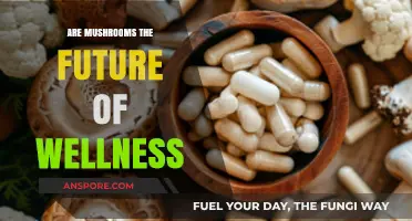 Mushrooms: Wellness Superfood or Just Hype?