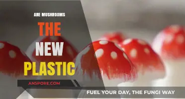 Mushrooms: The Eco-Friendly Alternative to Plastic?
