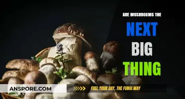 Mushrooms: The Future of Food and Medicine?
